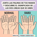 Las Líneas de tus Manos: Un Vínculo entre Salud y Quiromancia